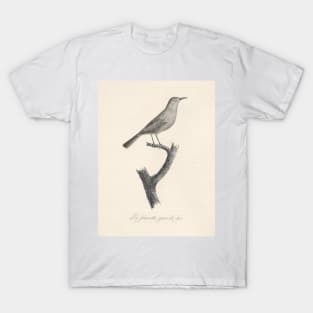 The Grey Warbler T-Shirt